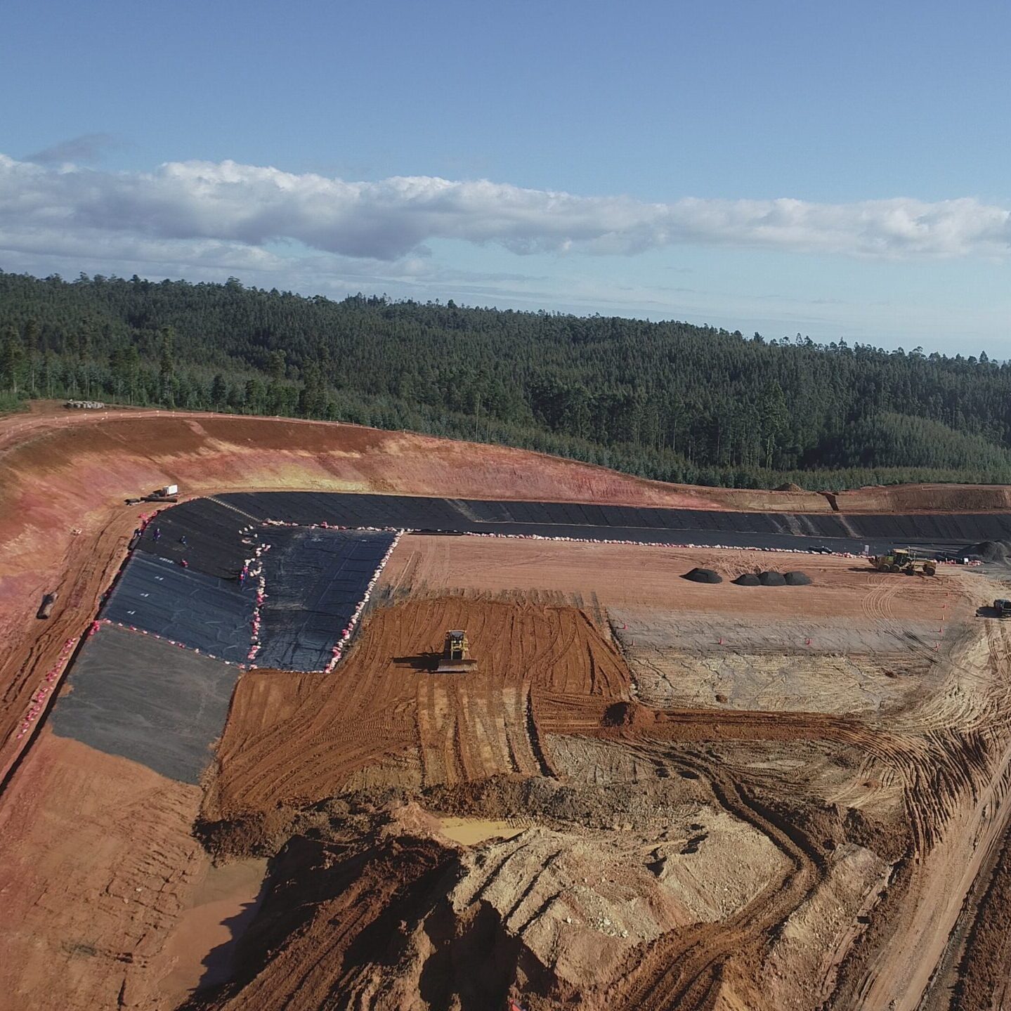 DRIS Planta Celulosa Nueva Aldea